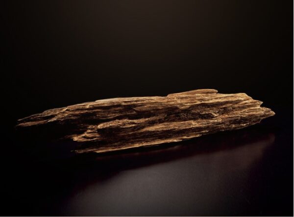 Vietnamese submerged-grade agarwood bracelet - oval-shaped — изображение 4